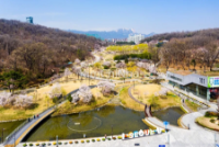 Bắt Trọn Toàn Cảnh Mùa Thu Seoul Từ Đài Quan Sát Cực Đỉnh Tại Dream Forest