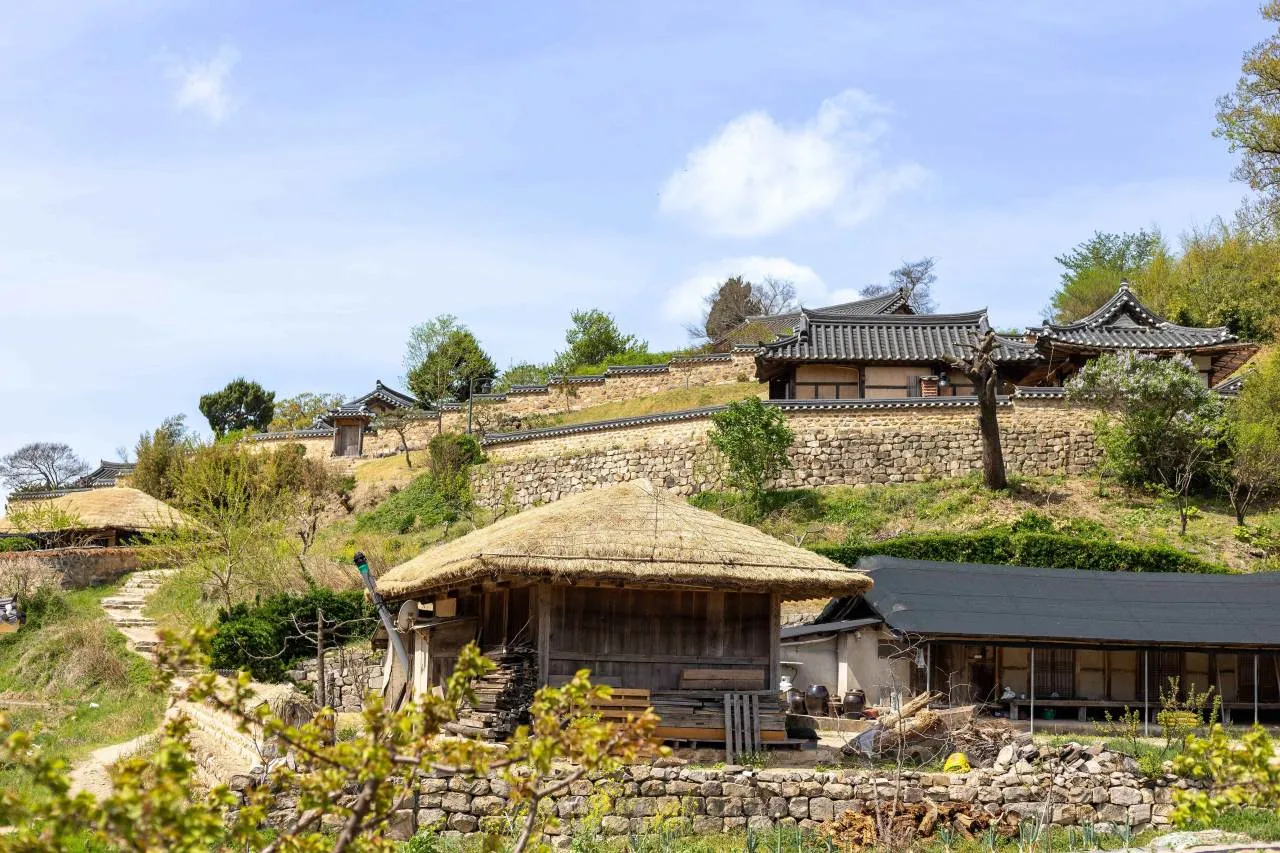 Ngắm hoa xuân ở Gyeongju, điểm đến hàng đầu không thể bỏ qua: Làng cổ Yangdong