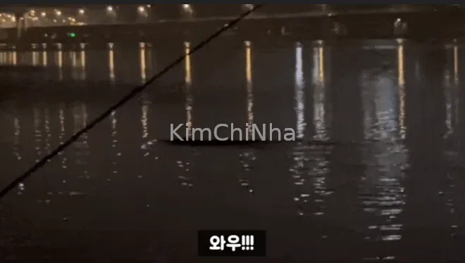 “Cái gì kia? Nó đang tiến về phía này”… Cư dân mạng xôn xao vì sinh vật lạ dài 10m xuất hiện ở sông Hàn