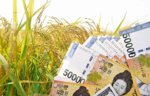 Hàn Quốc thí điểm chi trả “thu nhập cơ bản nông thôn”: Ai được nhận, điều kiện cư trú ra sao?