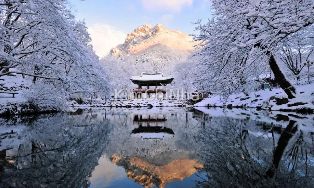 Pyeongchang, Hàn Quốc: Vượt qua cả Busan và Jeju, trở thành điểm đến "hot" nhất châu Á