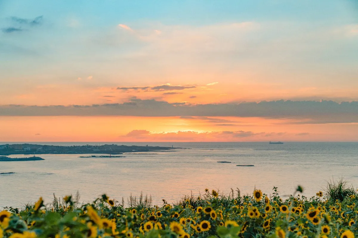 Du lịch biển Jeju tháng 5: Top 5 bãi biển đẹp nhất Jeju Hàn Quốc không thể bỏ lỡ dịp nghỉ lễ