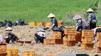 Tỷ lệ tham gia đào tạo an toàn lao động của lao động nước ngoài tại Hàn Quốc cực thấp – mới đạt 11,9%