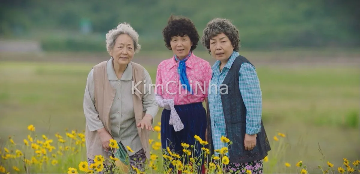 "Ajumma Power": Sự trỗi dậy và vai trò không thể thiếu của phụ nữ trung niên trong xã hội Hàn Quốc