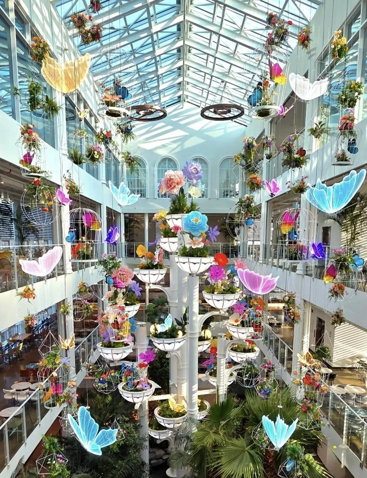 CHƯA HẾT THÁNG 1 MÀ "MÙA XUÂN" ĐÃ VỀ TRÊN FOREST OUTTINGS YONGIN RỒI CẢ NHÀ ƠI! 🦋🌸✨
