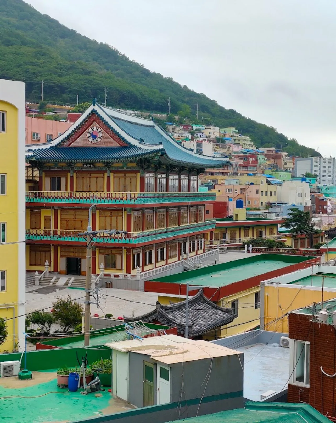 Làng văn hóa Gamcheon: Bản giao hưởng màu sắc trên sườn núi Busan 🎨🏘️