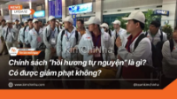 Chính sách “hồi hương tự nguyện” là gì? Có được giảm phạt không?