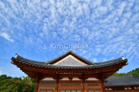 (한옥) Nhà Hanok: Biểu tượng văn hóa và tinh thần sống hòa hợp với thiên nhiên của người Hàn Quốc