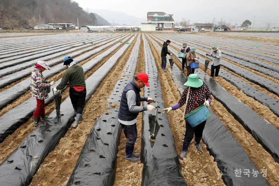 Lao động ngoại tại Gangwon: “Phao cứu sinh” cho nhân lực địa phương với mức đóng góp tăng vọt
