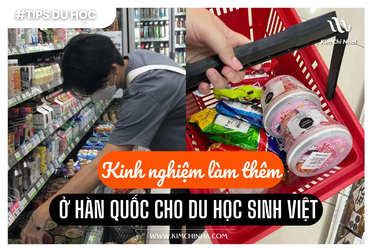 Kinh Nghiệm Làm Thêm Ở Hàn Quốc Cho Du Học Sinh Việt