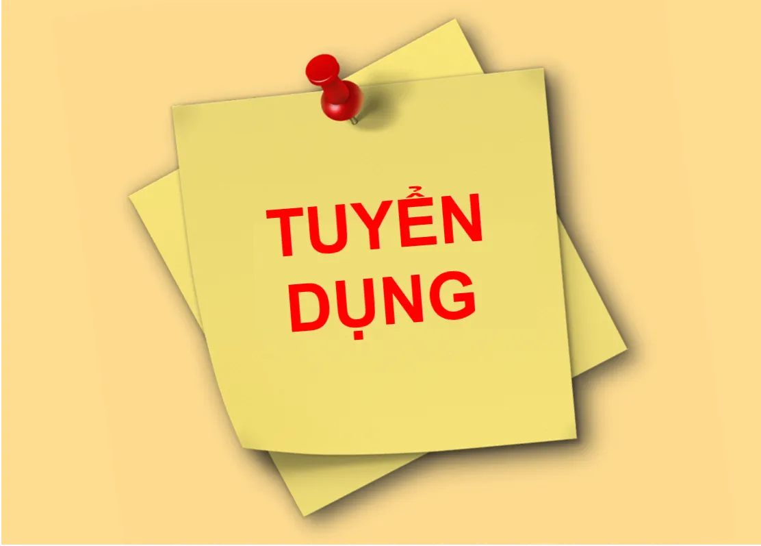Tuyển dụng Senior / Manager người Việt tại Hàn Quốc