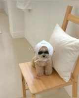 Bị cảnh sát Hàn kiểm tra và bài học nhớ mãi
