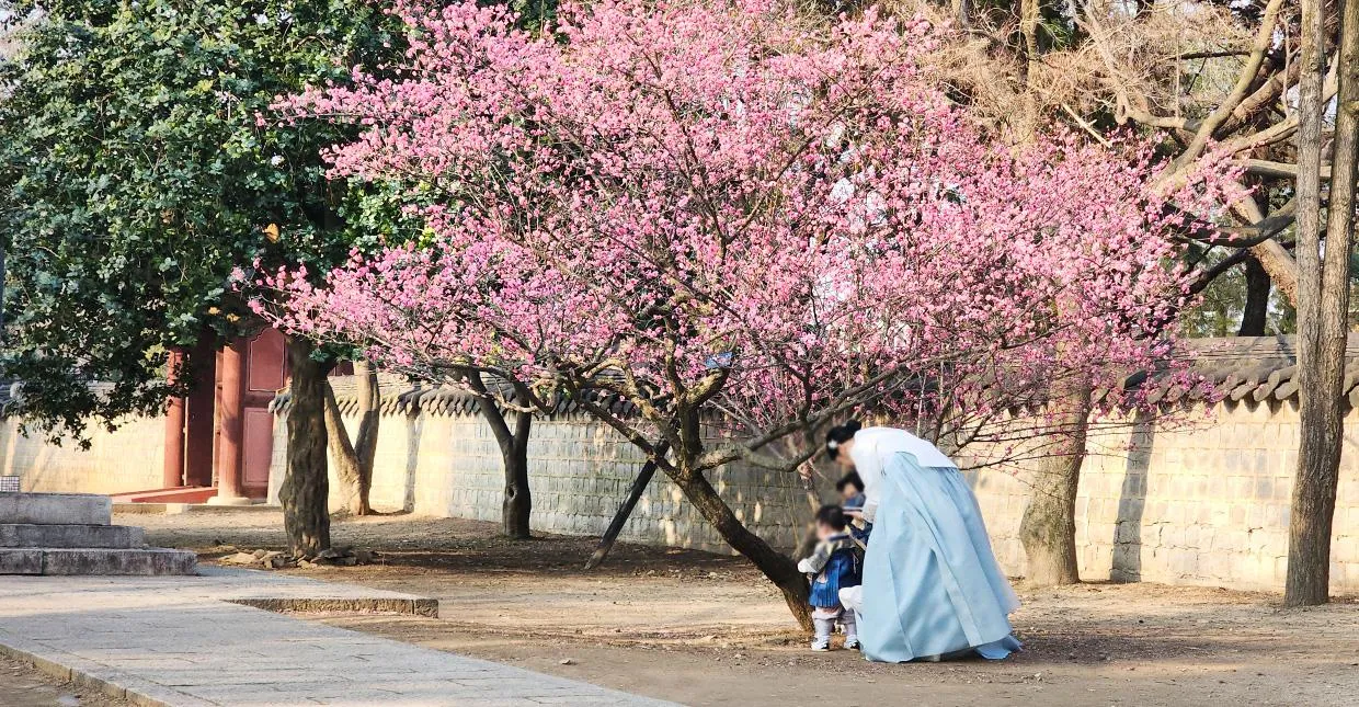 Lịch trình du lịch Jeonju 1 đêm 2 ngày: Gợi ý 10 địa điểm đẹp nhất cho gia đình và cặp đôi