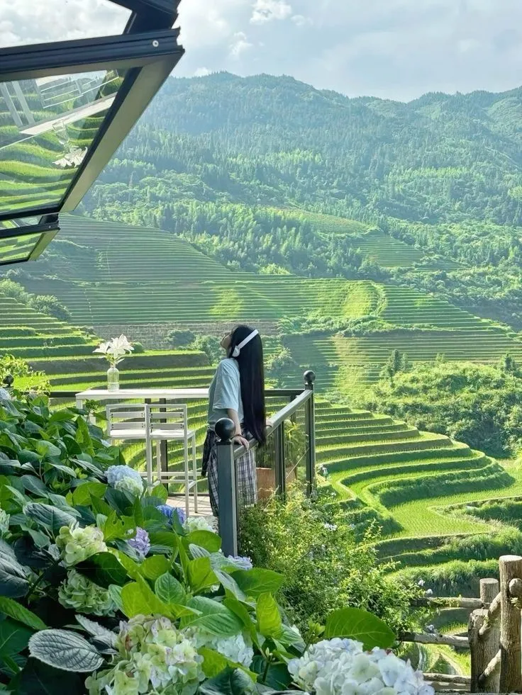 🍵 Vườn Trà Boseong: Lạc lối giữa thiên đường xanh và thưởng thức ẩm thực Trà Xanh độc đáo