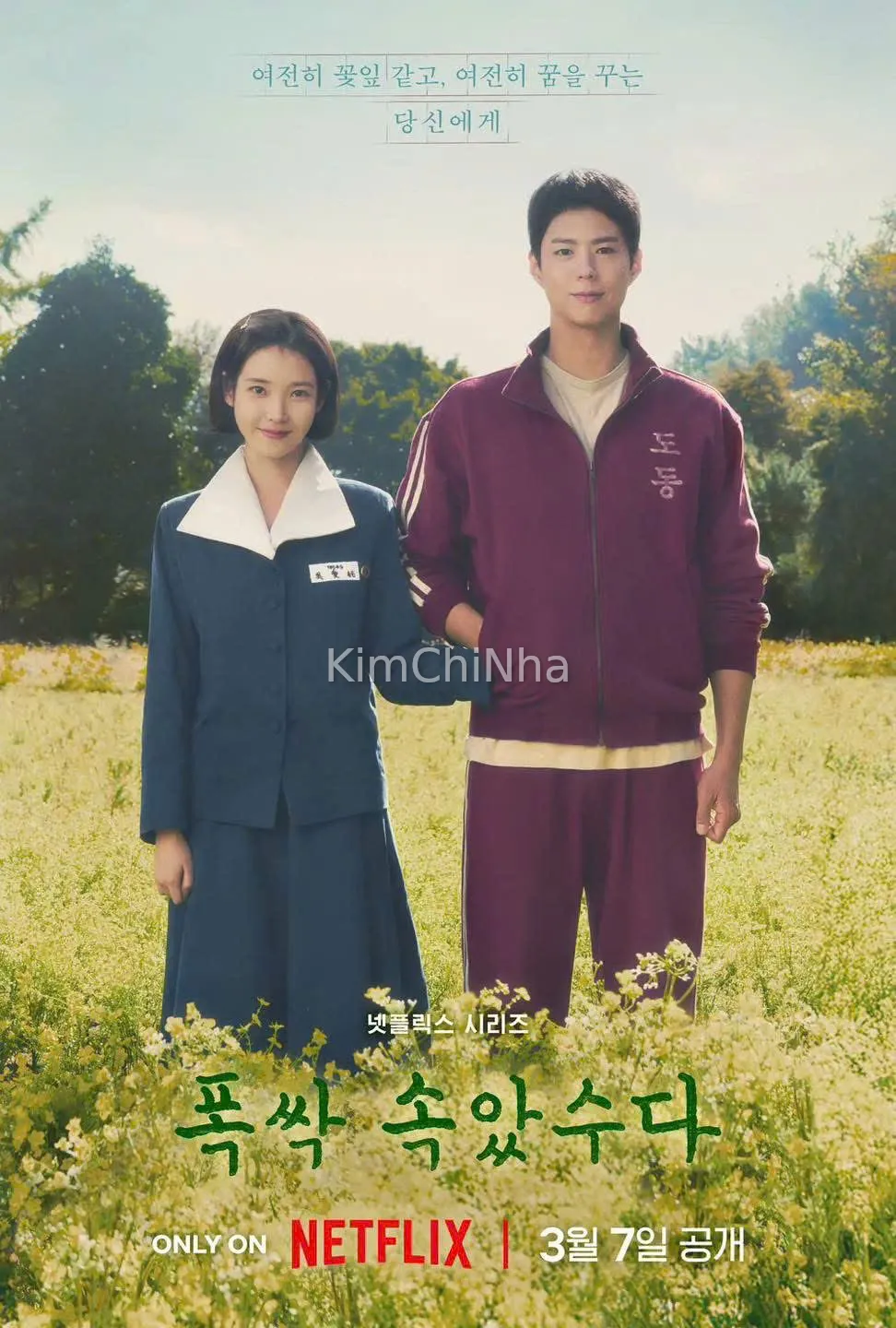 [Review] "Khi cuộc đời cho bạn quả quýt" (When Life Gives You Tangerines ) - Và bạn đã đem lòng thương nhớ cả một mùa