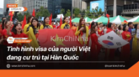 Tình hình visa của người Việt đang cư trú tại Hàn Quốc