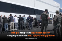 Bắt giữ hàng trăm người Hàn tại Mỹ, còng tay xích chân như tội phạm nguy hiểm