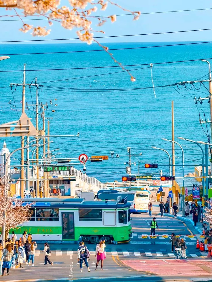 Cheongsapo Station: Khi đường ray tàu hỏa nối liền với giấc mơ biển cả 🌊🚃✨