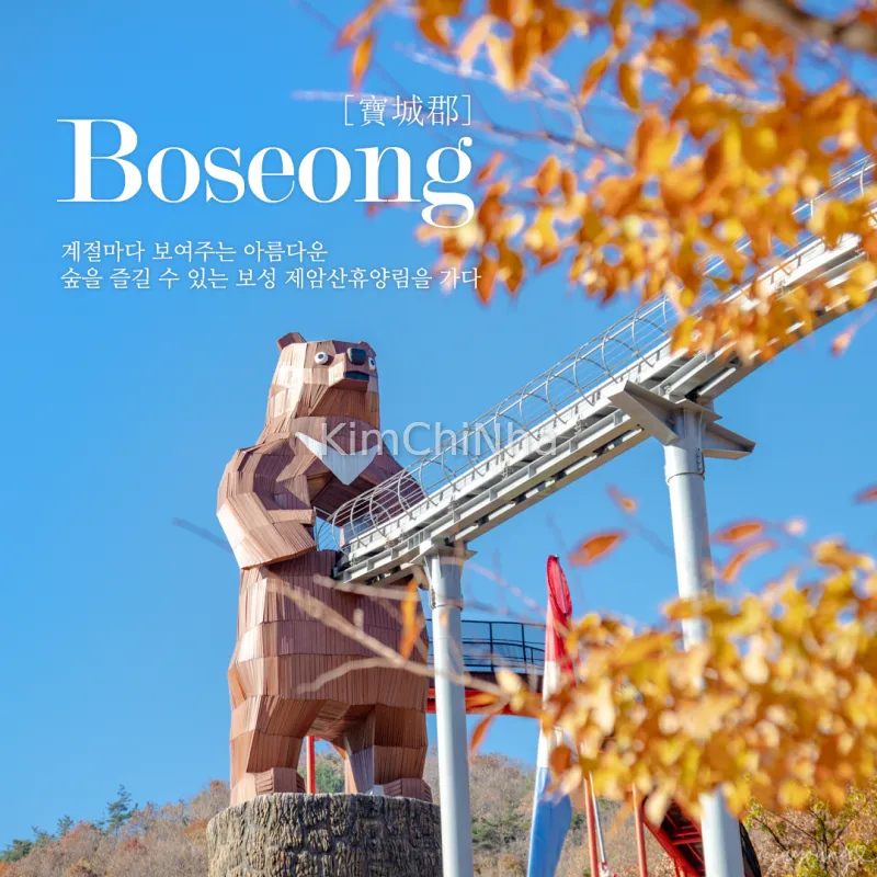  "Liệu Pháp Vận Động": Rừng Vui Chơi Jaeamsan, Boseong