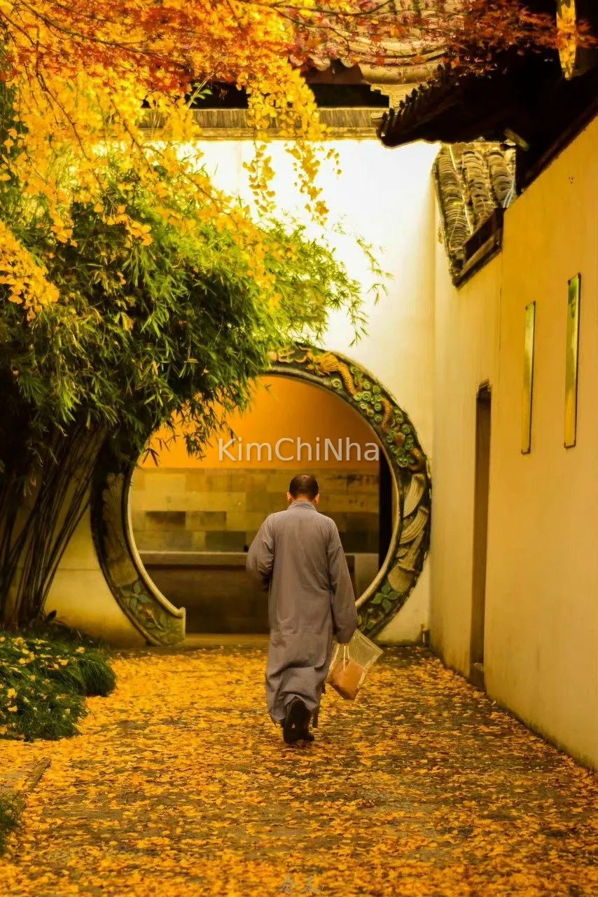 Hanok: Bí mật của "ngôi nhà biết thở" và công nghệ Ondol 1000 năm – Tiêu chuẩn sống ngầm của giới tinh hoa Hàn Quốc
