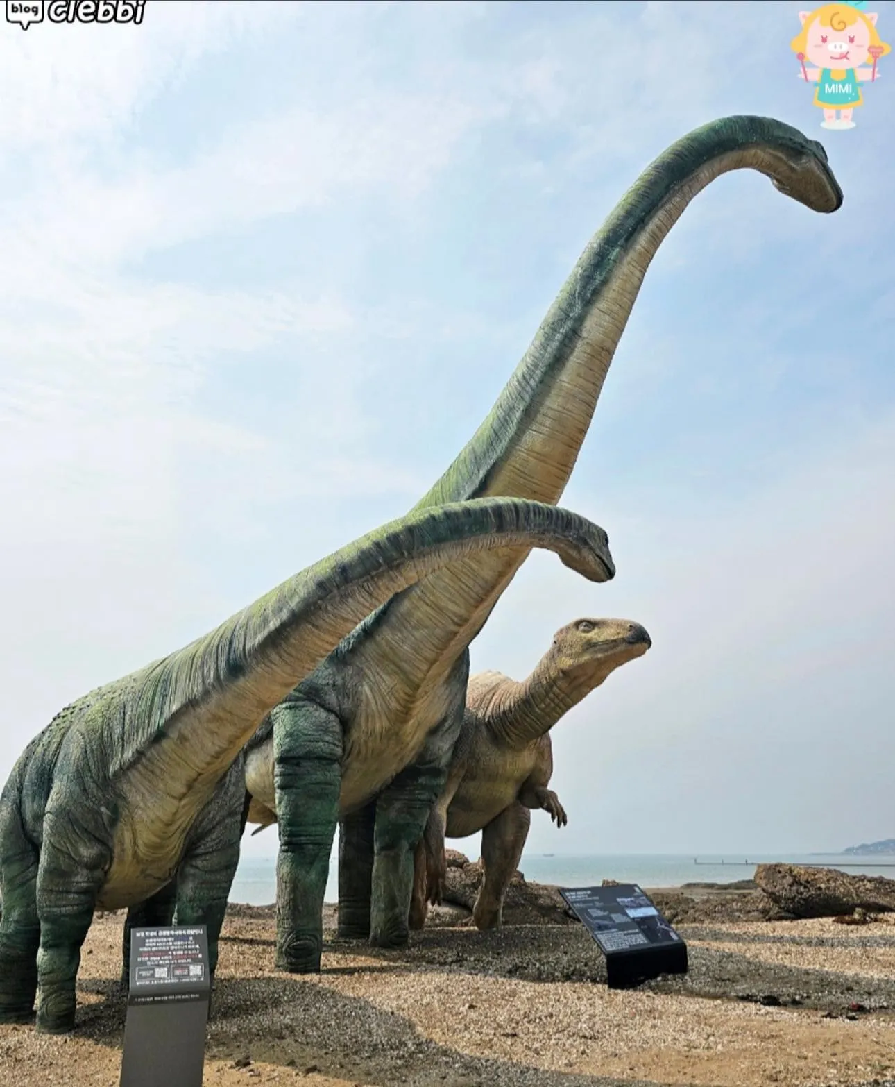 Khám phá dấu chân khủng long thật ngay bên bờ biển Boryeong 🦕🌊