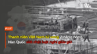 Thanh niên Việt Nam tử vong vì nắng nóng, Hàn Quốc siết chặt luật nghỉ giữa giờ