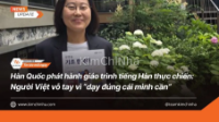 Hàn Quốc phát hành giáo trình tiếng Hàn thực chiến: Người Việt vỗ tay vì “dạy đúng cái mình cần”