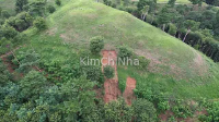 Mưa lớn gây thiệt hại cho di sản thế giới Gaya tại Hàn Quốc – Gò mộ Goryeong Jisan-dong bị sạt lở nghiêm trọng