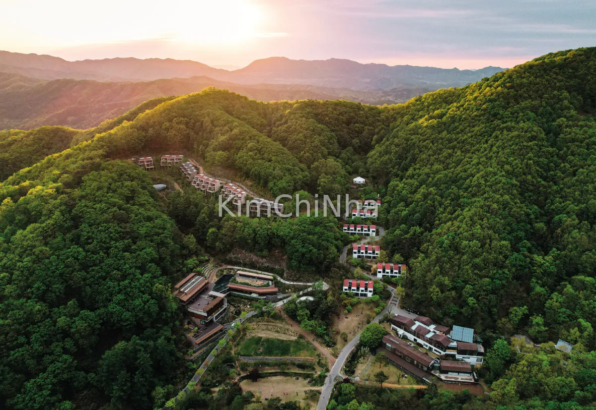 "Liệu Pháp Cai Kỹ Thuật Số": Rừng Trị Liệu Seonmaeul, Hongcheon