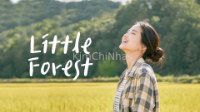 Remake không trọn vị, Little Forest bản Hàn có tệ không?