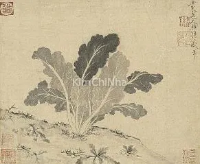 Phát hiện mới: Lịch sử kimchi cải thảo của Hàn Quốc sớm hơn 300 năm so với nhận định trước đây