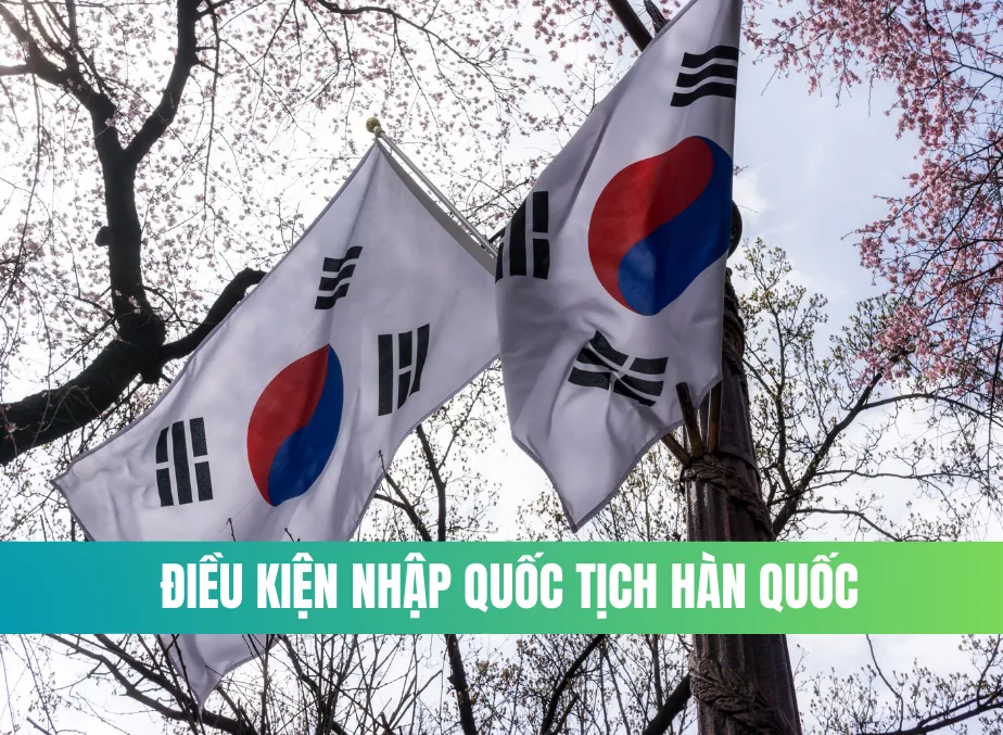 Cách  Tự Làm Quốc Tịch Việt Nam Cho Bé Tại Hàn Quốc: Chỉ Từ 200.000 Won