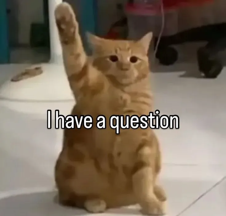 Có bao giờ mấy bà nghĩ thời đại này sinh con ra thấy khổ cho con không?