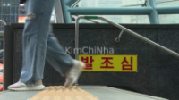 Chuột hoành hành ở nhiều khu vực trung tâm Seoul giữa thời tiết cực đoan