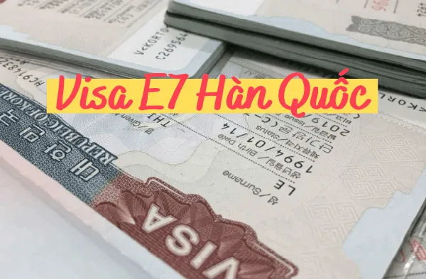 Chuyển đổi Visa E-7 sau tốt nghiệp: Cơ hội vàng cho du học sinh chuyên môn tại Hàn Quốc
