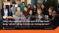 Hàng chục nghìn du học sinh quốc tế ở Hàn Quốc đang “vật lộn” với sự thờ ơ từ các trường đại học?
