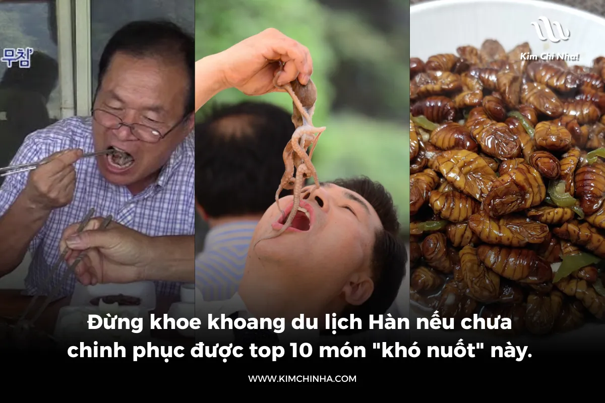 Đừng khoe khoang du lịch Hàn nếu chưa chinh phục được top 10 món "khó nuốt" này.