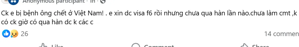Visa F-6 Đã Cấp Nhưng Chồng Mất Trước Khi Nhập Cảnh: Có Nên Bay Sang Hàn Quốc Không?