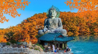 Quên Đi Sự Ồn Ào, Hãy Để Tâm Hồn Bạn Được “Chữa Lành” Tại Vườn Quốc Gia Seoraksan