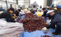 Dân số nông nghiệp Hàn Quốc chạm ngưỡng 2 triệu người: Báo động khủng hoảng nhân lực ở nông thôn