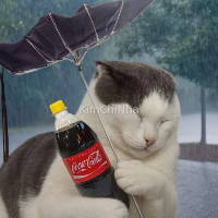 Mình đã đổi góc nhìn về du học sau 2 năm ở Hàn