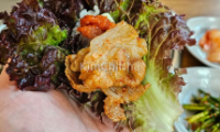 Một Cuốn Rau – Đủ Giòn, Đủ Dai, Đủ Hạnh Phúc: Câu Chuyện Ẩm Thực Cùng Chef Kim Dong-ki