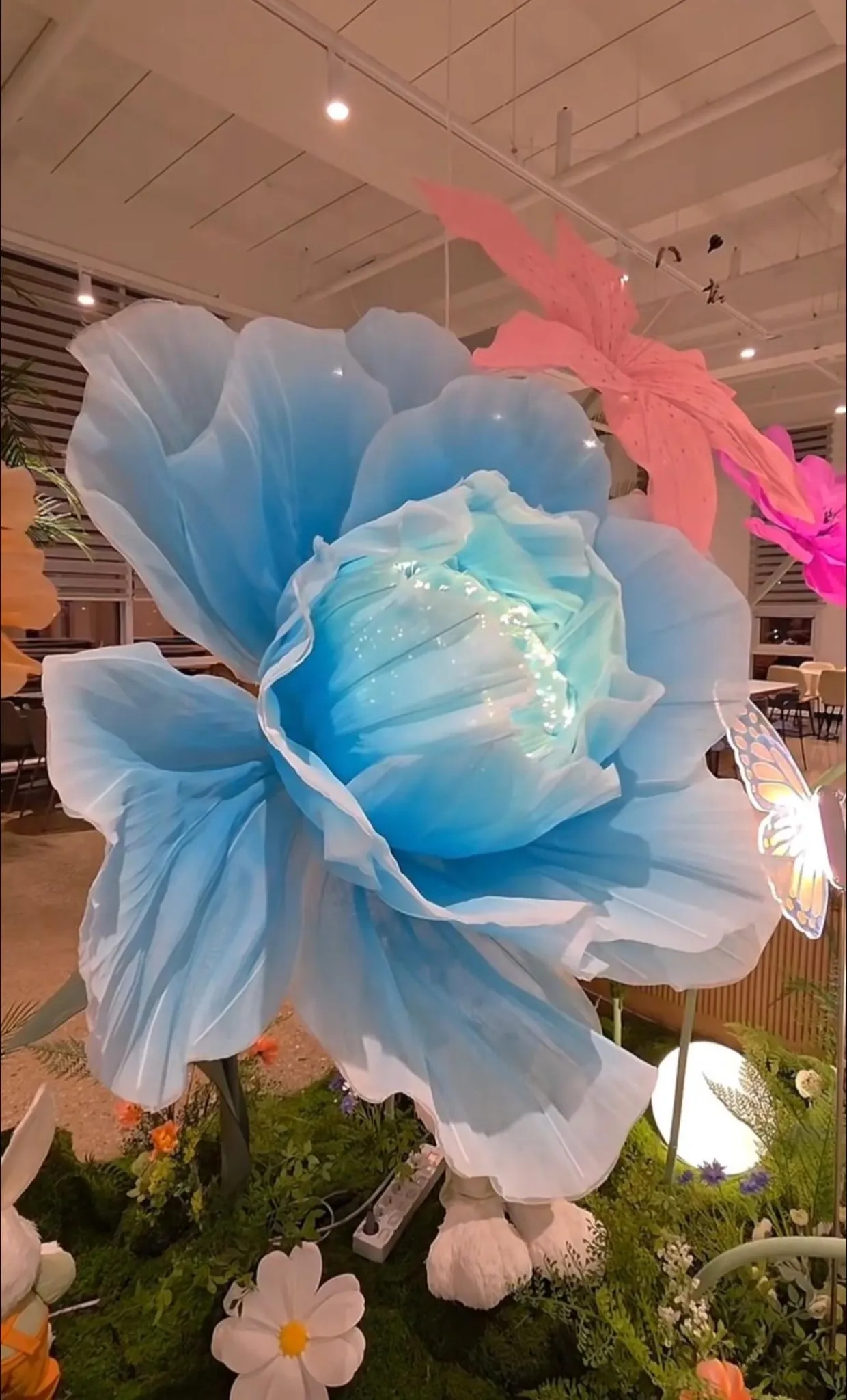 CHƯA HẾT THÁNG 1 MÀ "MÙA XUÂN" ĐÃ VỀ TRÊN FOREST OUTTINGS YONGIN RỒI CẢ NHÀ ƠI! 🦋🌸✨