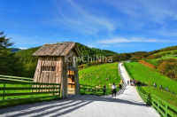 Trải Nghiệm Trang Trại Cừu Daegwallyeong, Pyeongchang