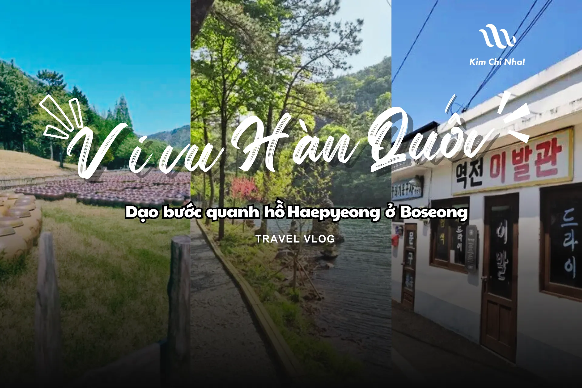 🐢 Dạo bước quanh hồ Haepyeong ở Boseong
