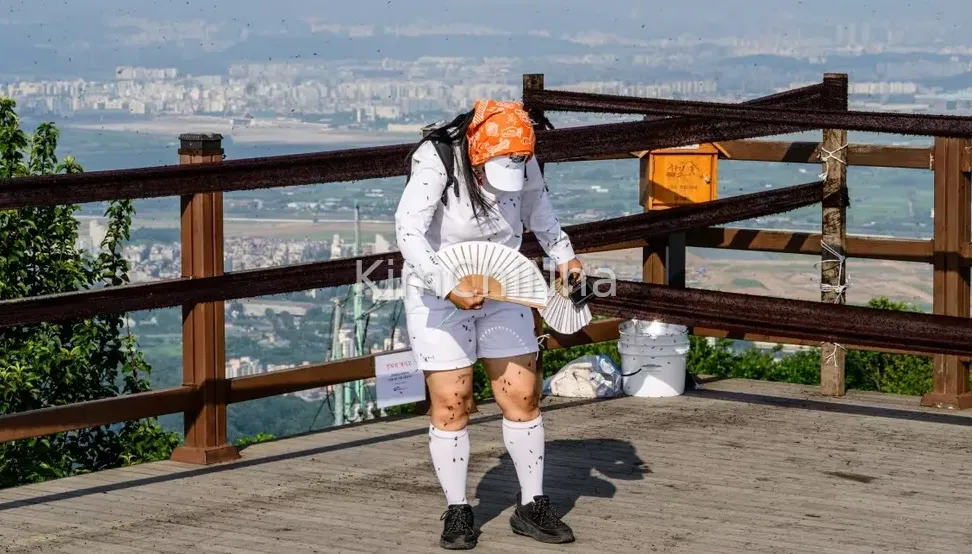 Bọ tình yêu