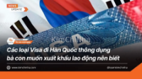 Các loại Visa đi Hàn Quốc thông dụng bà con muốn xuất khẩu lao động nên biết
