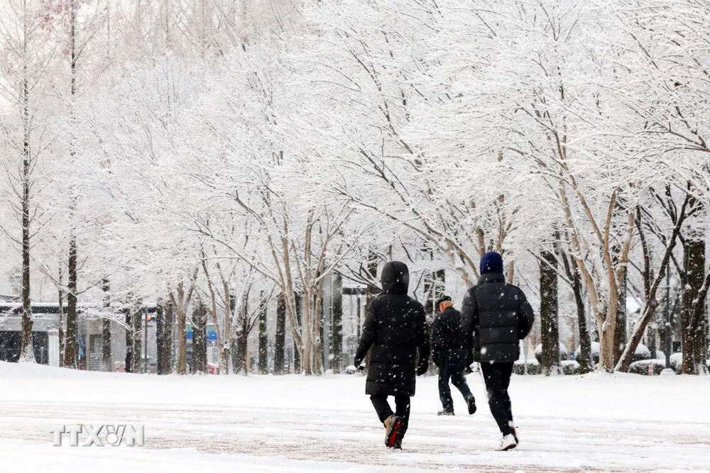 ❄️ TIẾT ĐẠI HÀN 2026: HÀN QUỐC RƠI VÀO "TỦ CẤP ĐÔNG" – CẢNH BÁO RÉT ĐẬM TOÀN QUỐC