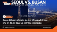 Seoul & Busan: Combo du lịch 10 ngày đỉnh cao cho tín đồ ẩm thực và chill thủ chính hiệu!