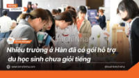 Nhiều trường ở Hàn đã có gói hỗ trợ du học sinh chưa giỏi tiếng